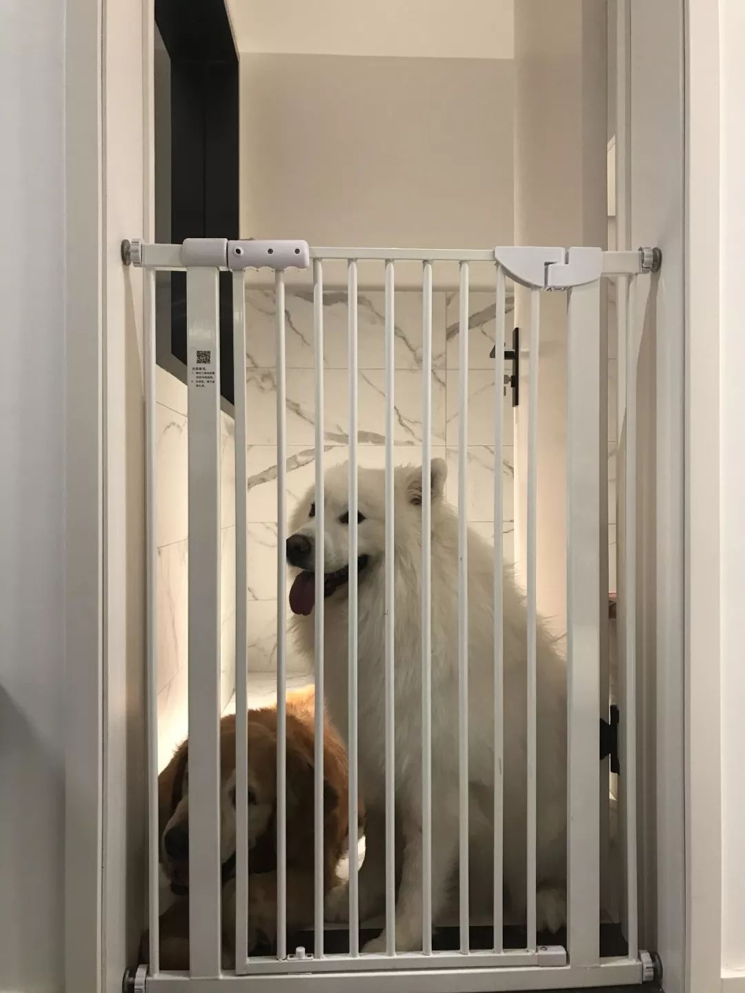 极简生活,三室变两室的美好挑战-76