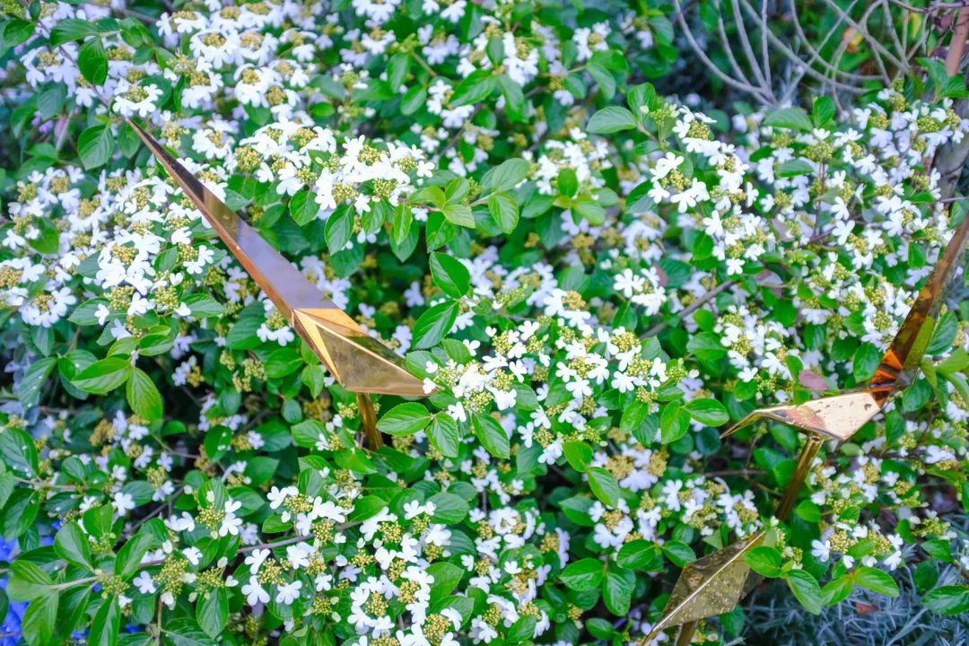 无界丨中国深圳丨林俊英景观工作室-83