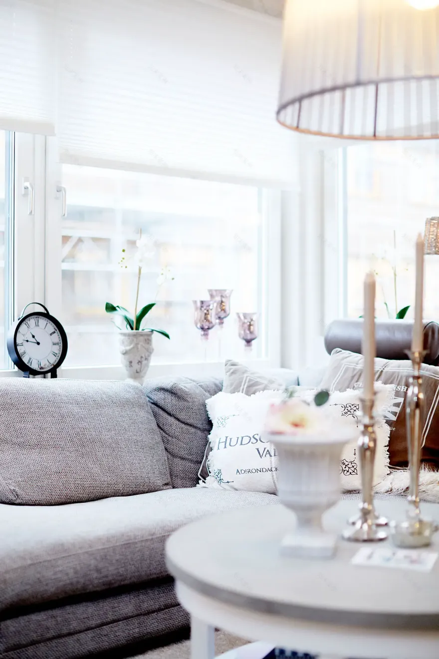 城市中的乡村风情 | 法国巴洛克式公寓设计-1