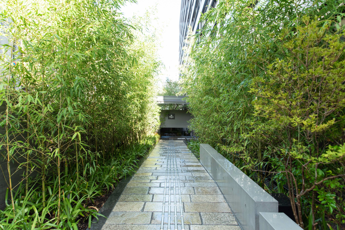 旧时气韵，现代延承 | 植彌加藤-24