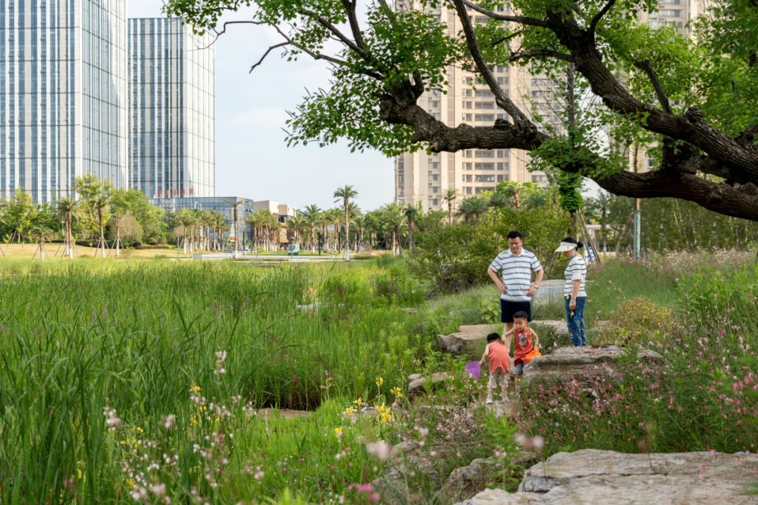 九龙湖绿地国博城雨阳公园丨中国南昌-32