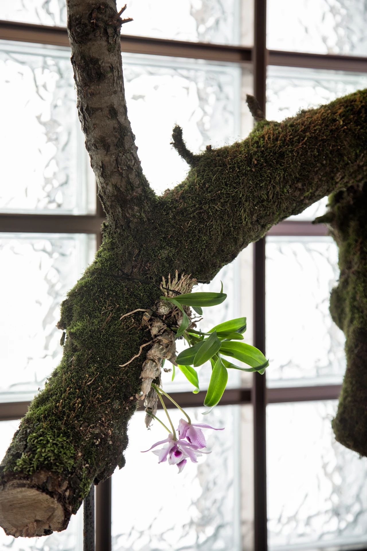 华润（深圳）静安府售楼处丨中国深圳丨千墨设计-17