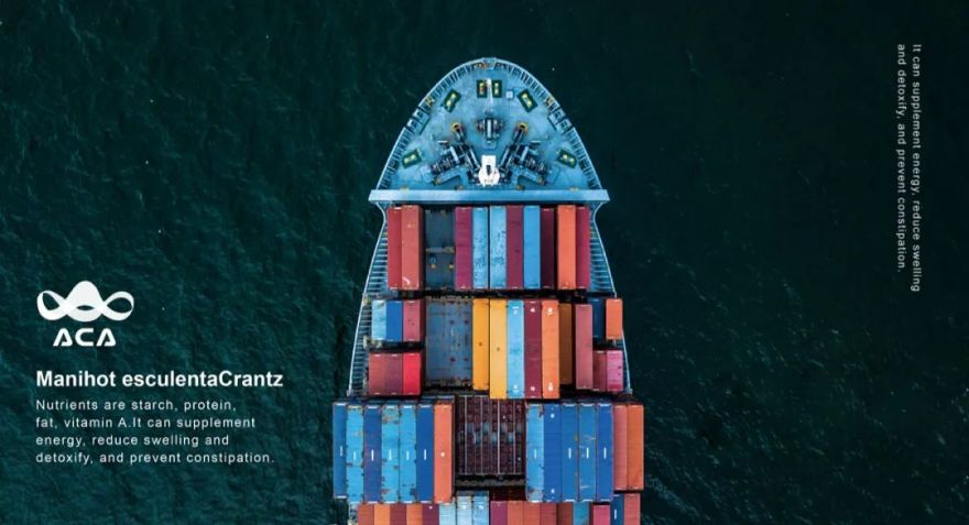 【非洲木薯联盟ACA】视觉形象设计-41