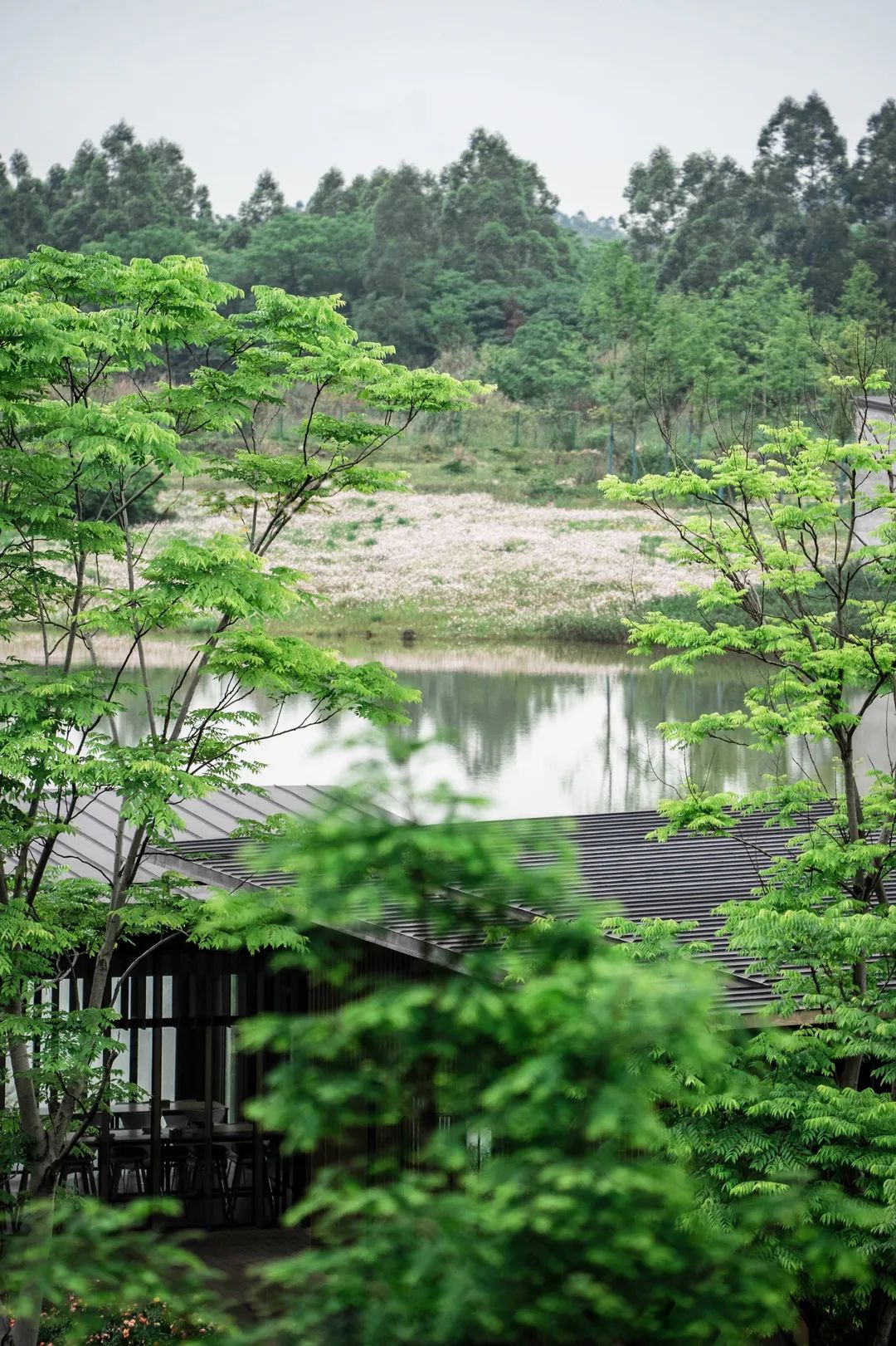 十如 Integral | 融入自然的可持续发展园林-49