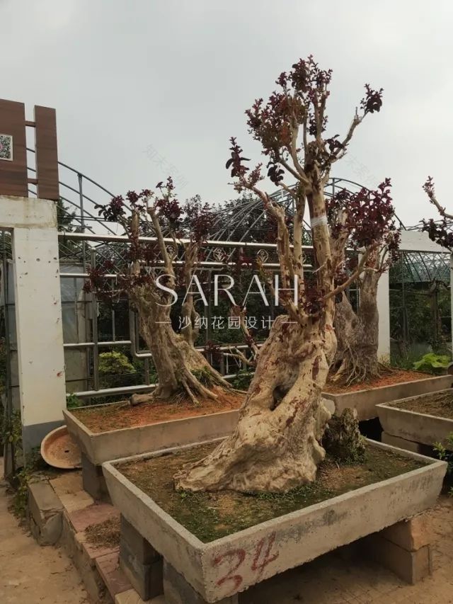 【花园荟】带你见证0差评颜值酒店如何诞生-39