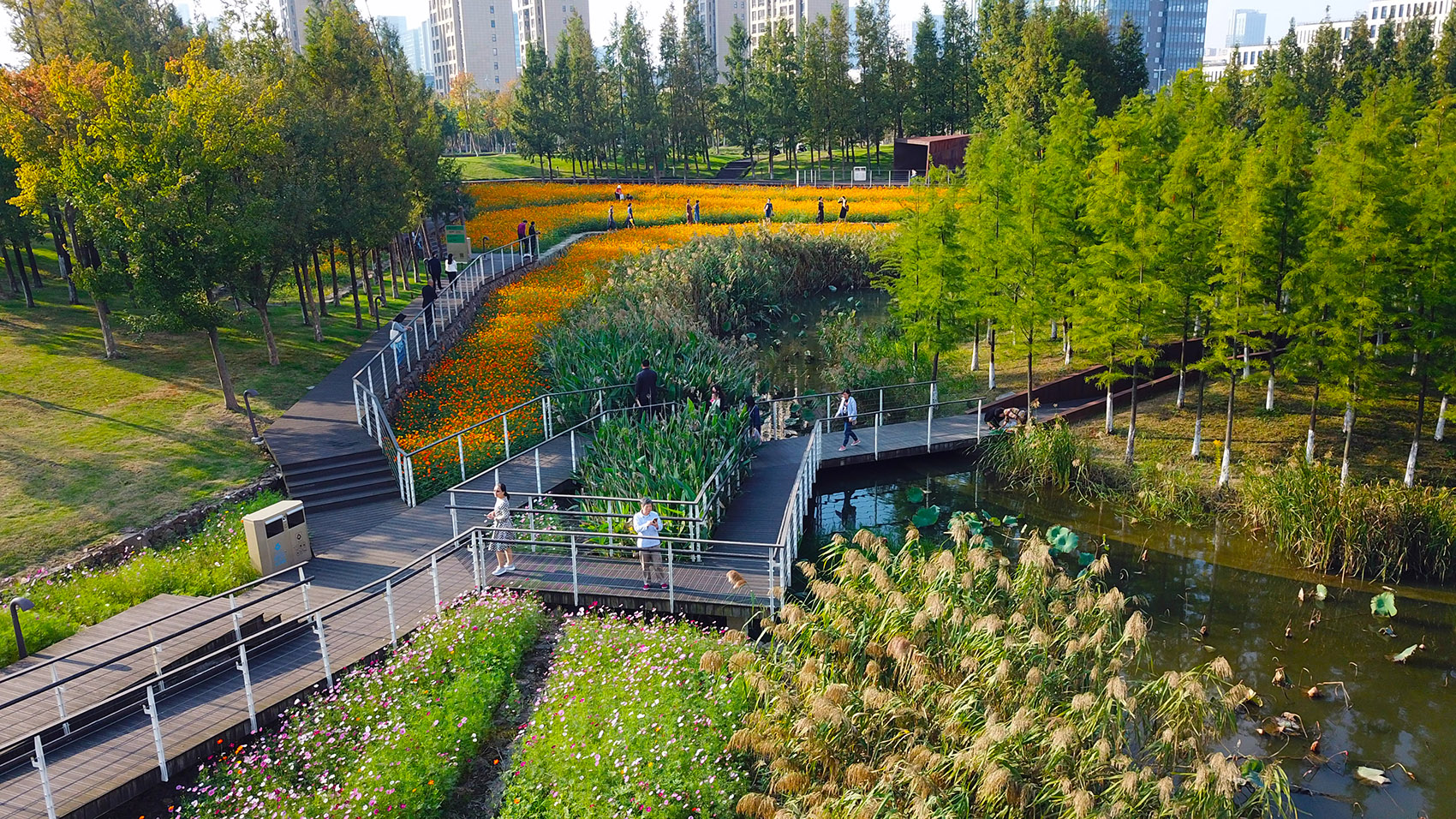 合辑：俞孔坚&土人设计经典项目回顾-84