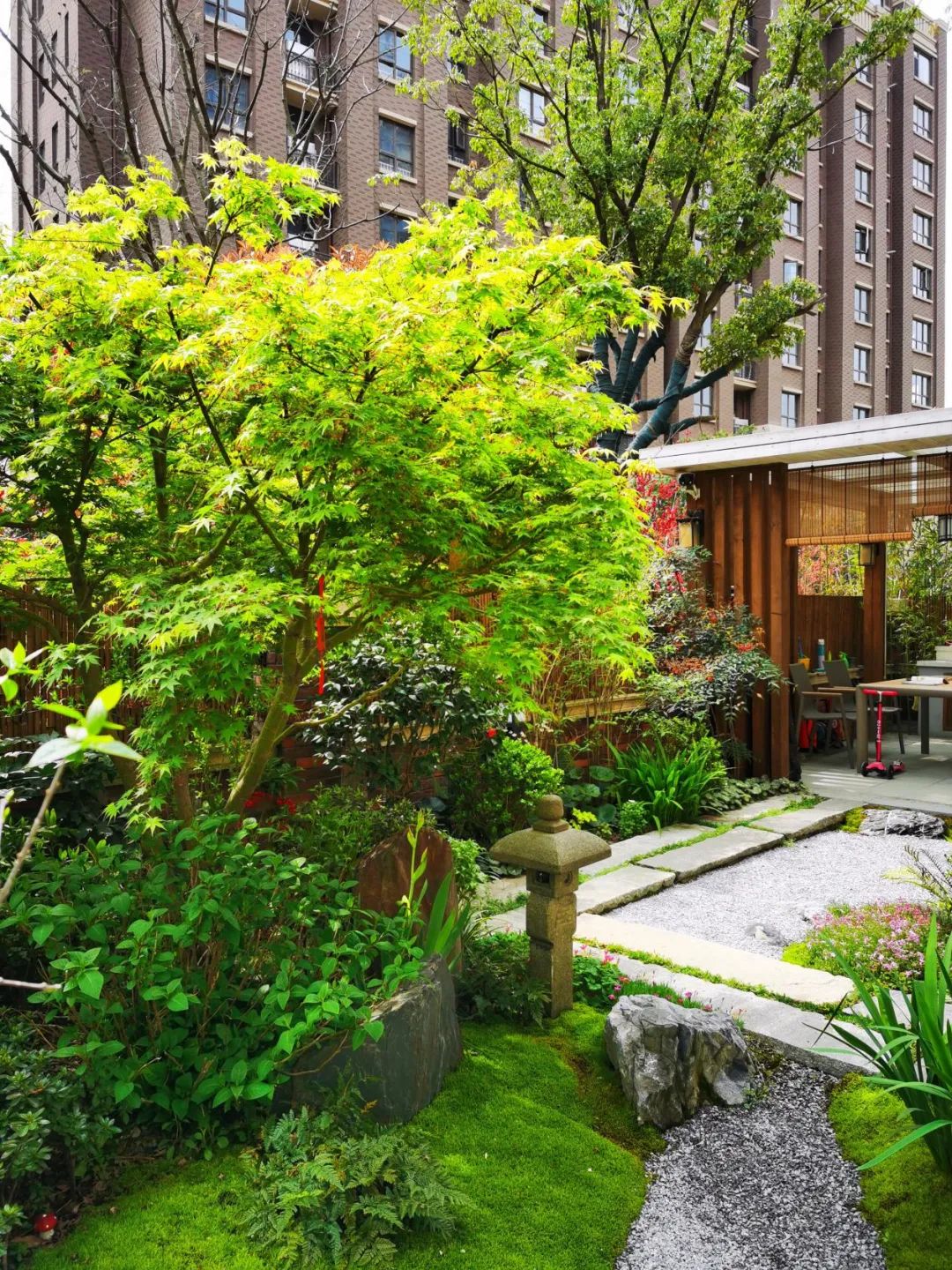 禅意花园里植物的那些事-175