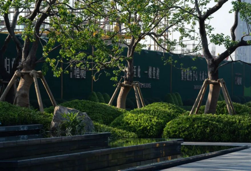 芜湖伟星·樘樾丨中国芜湖丨LAURENT罗朗景观-22