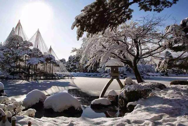 日本最美20个庭院，你更中意哪一个？-214
