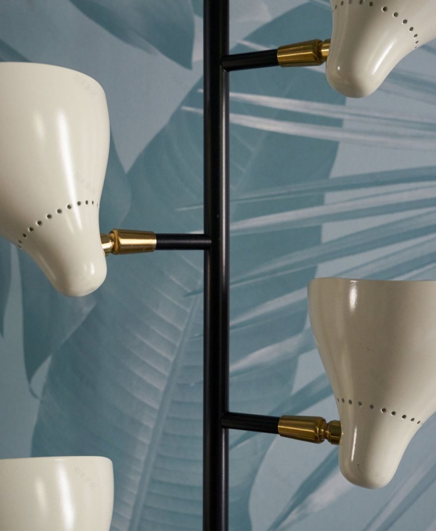 Elena Frampton 的布鲁克林高地别墅设计 | 树冠下的经典空间-10