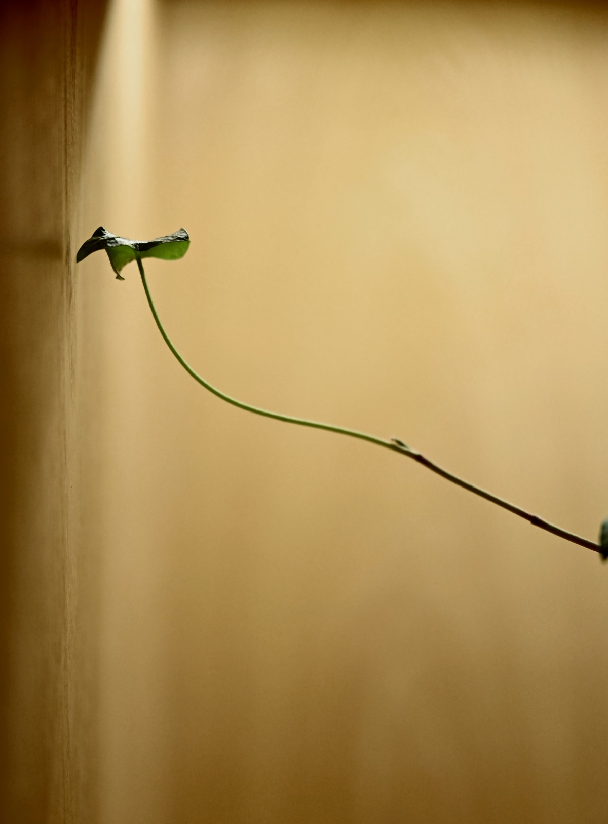 军力烧烤(郑东商业中心店)丨温圣长-45