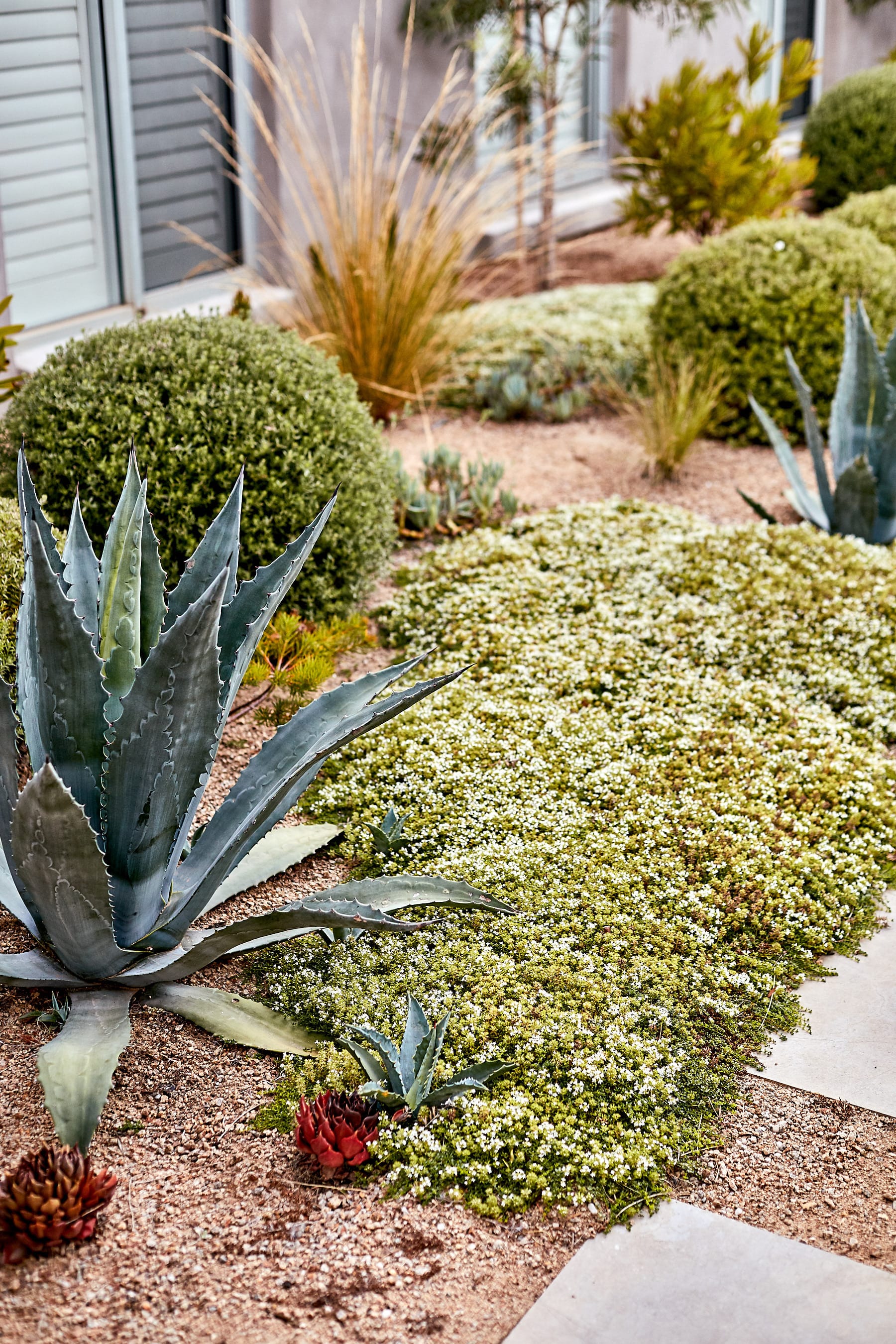 莫宁顿梦境花园-28