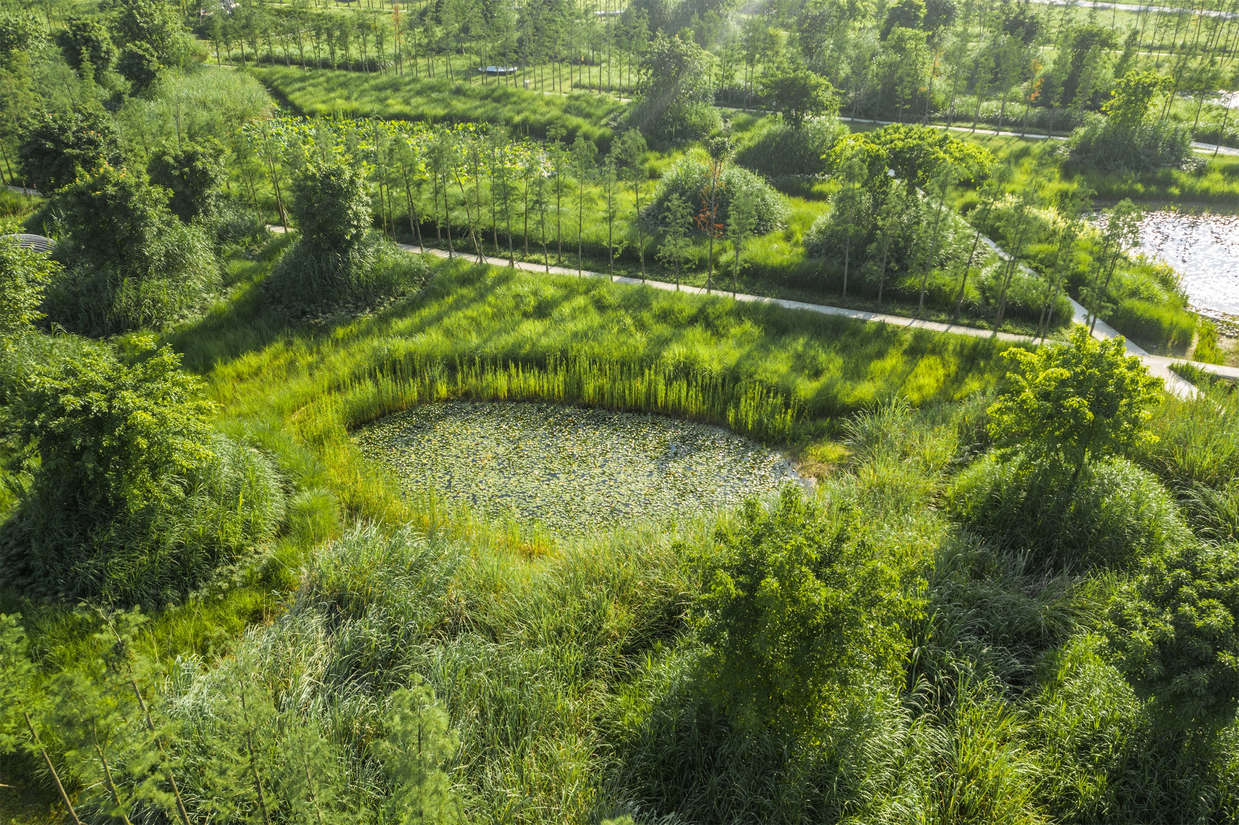 西安雁南公园（二期）丨中国西安丨土人设计（Turenscape）-154