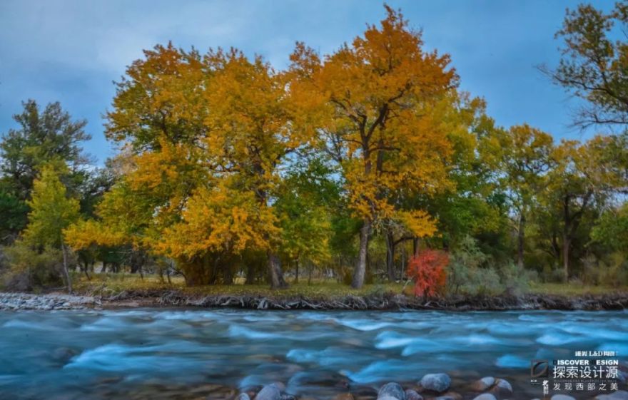 设计大咖探索新疆原生态之美,启发现代设计灵感-20