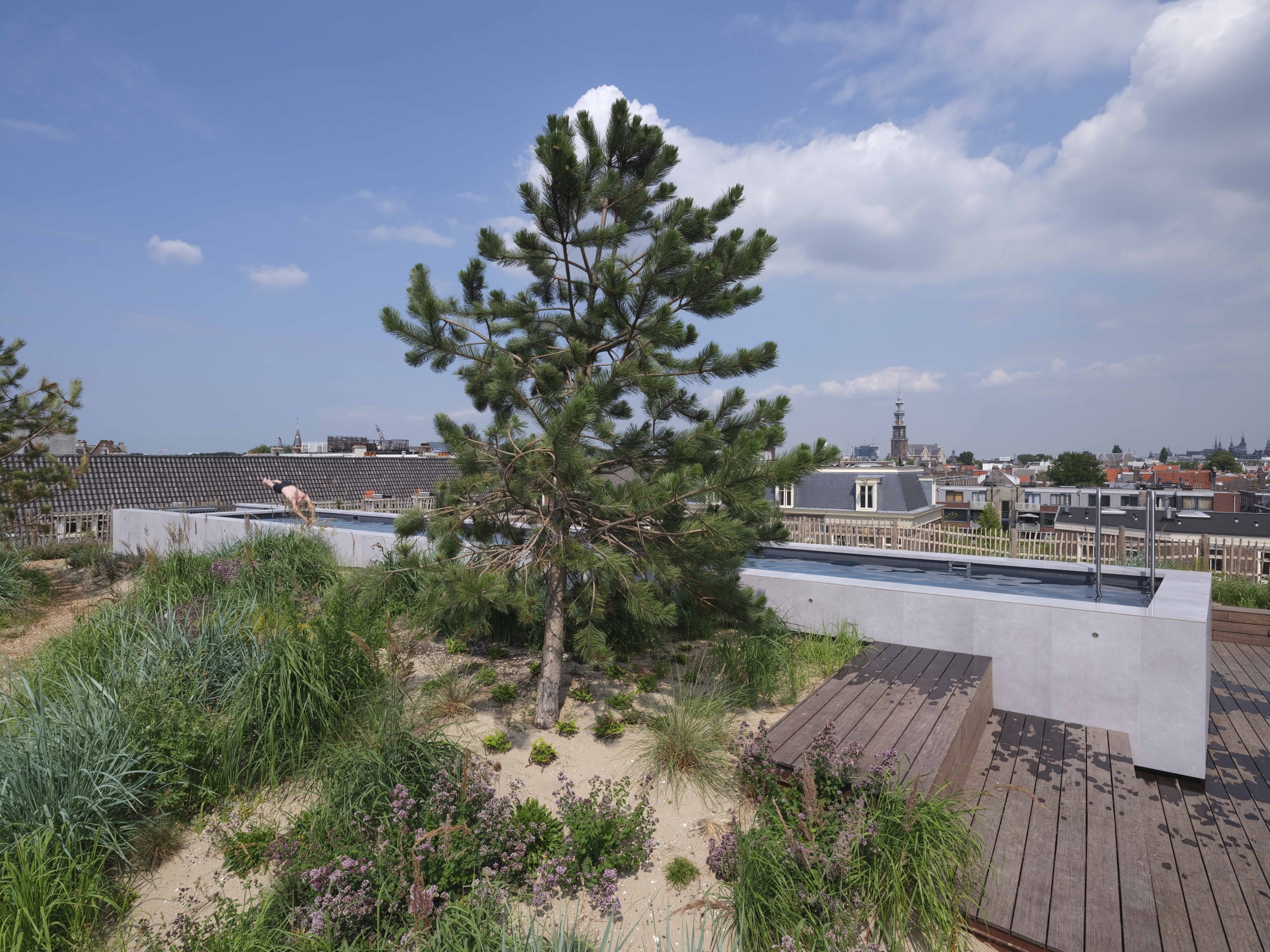 沙丘顶丨荷兰阿姆斯特丹丨Buro Harro-12