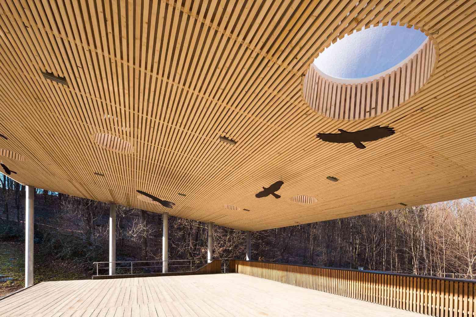 霍雷奇露天剧场屋顶项目丨卡米尔·姆尔瓦建筑师有限公司-22