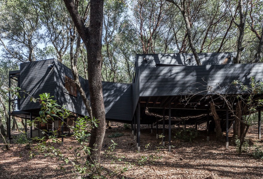 Spectacular Forest Retreat Hidden in the Forested Hills of Northern California-12