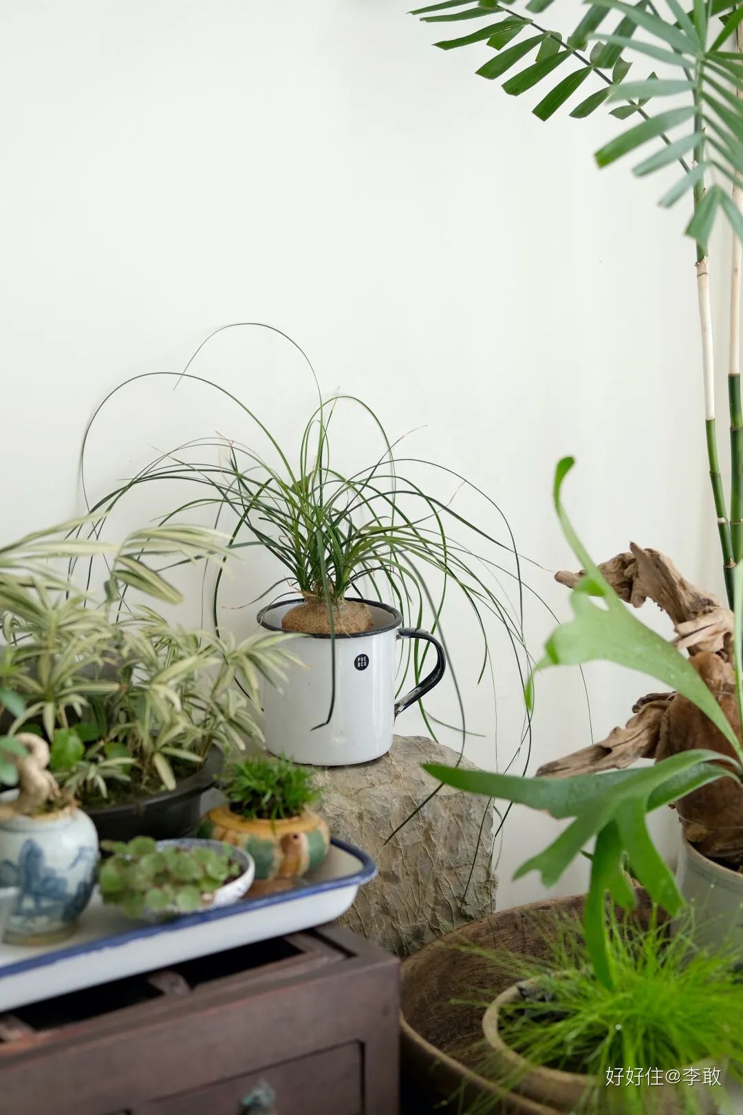 心安之处方为家丨中国南京丨好好住认证设计师@李敢-81