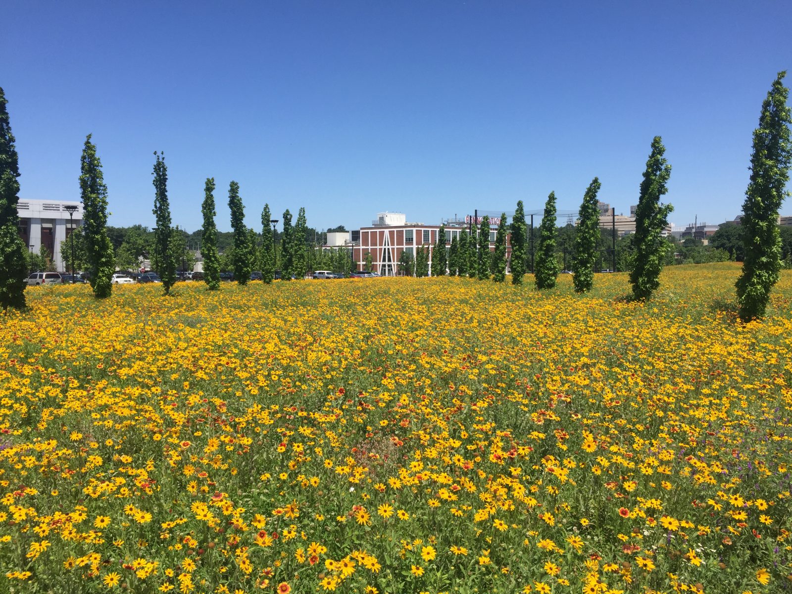 Pennovation Works at The University of Pennsylvania-0