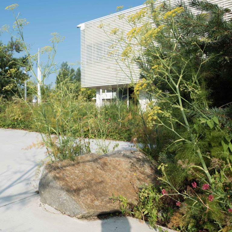 圣布里厄展览公园空地重生丨法国丨praxyspaysage.fr-11