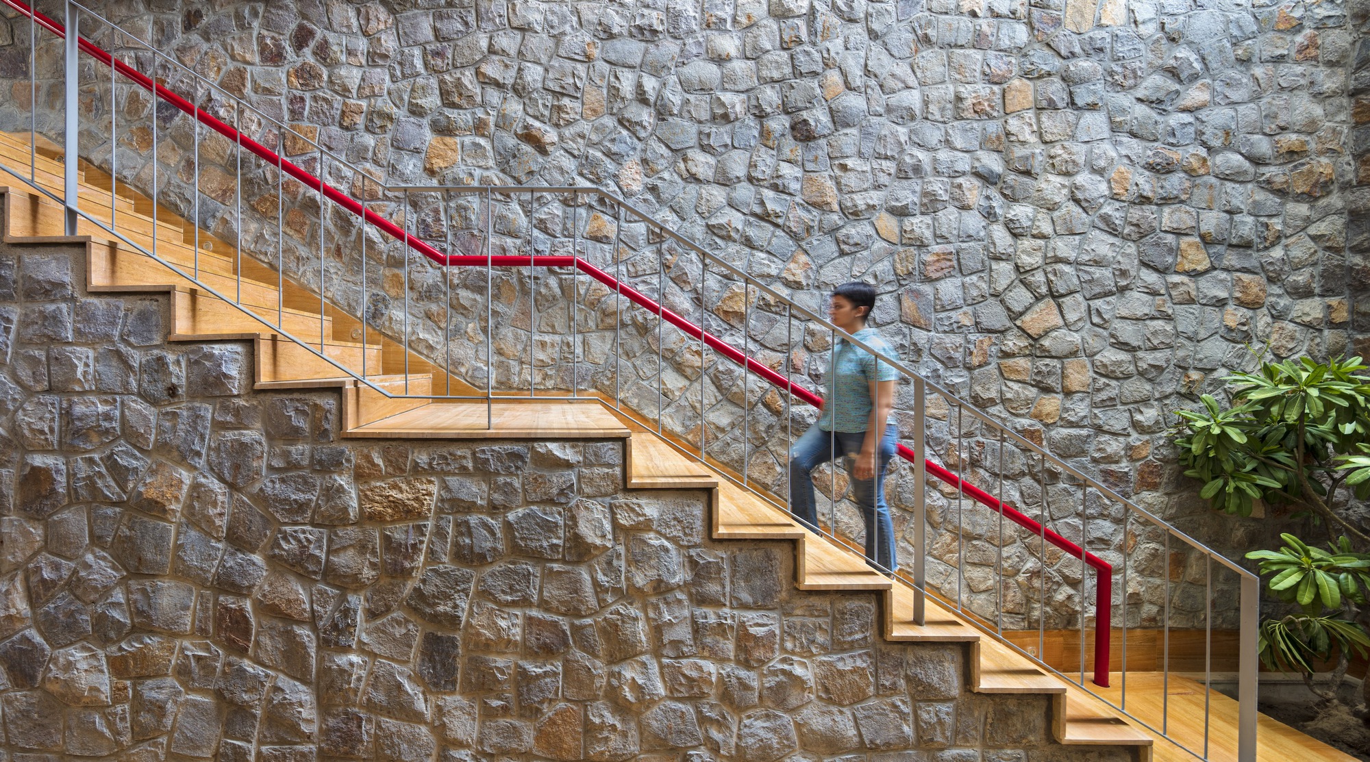 人树屋丨印度丨Archiopteryx-33