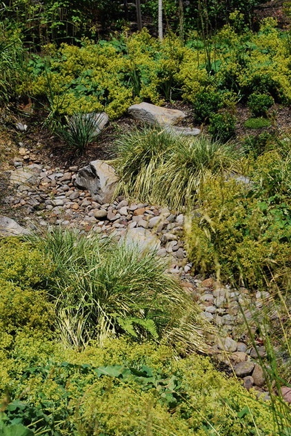 雨花园打造及土壤配置项目丨美国华盛顿-32