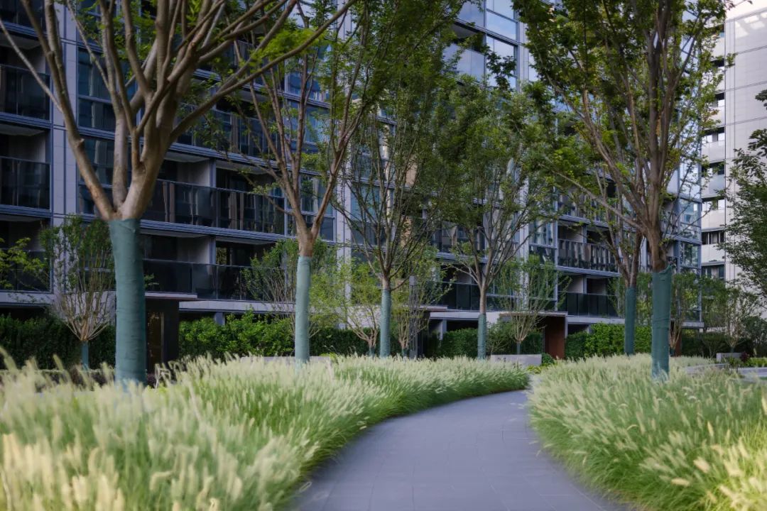 自然无界 乐享湖滨 | 临安蓝城桃李湖滨（大区）-66