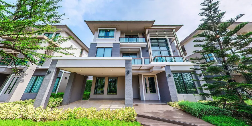 植物精英和帕森-40