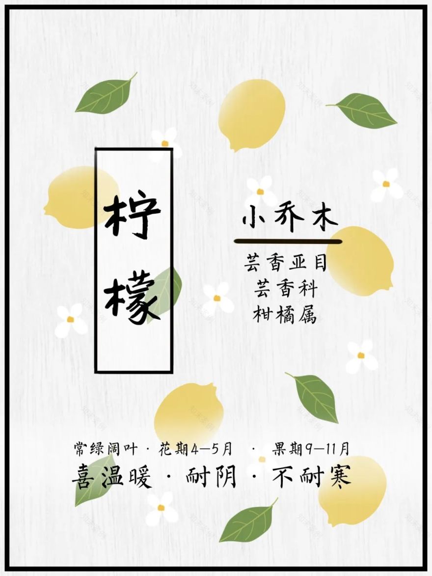 广汽丰田生态园·工业绿色风景线丨普邦设计-67