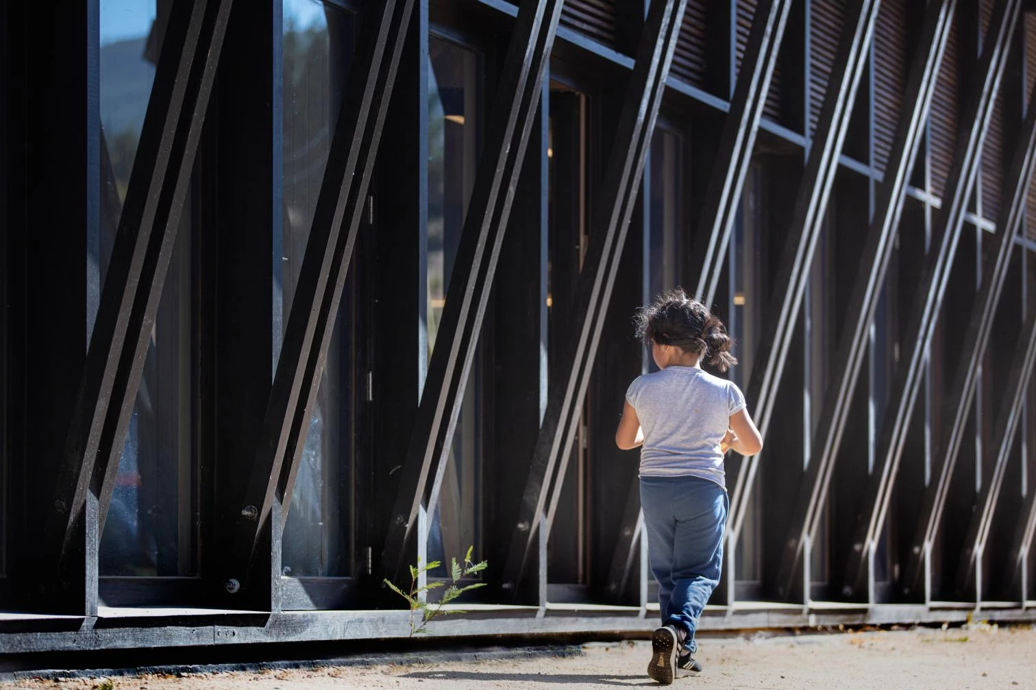 皮瓦登科乡村学校丨智利-7