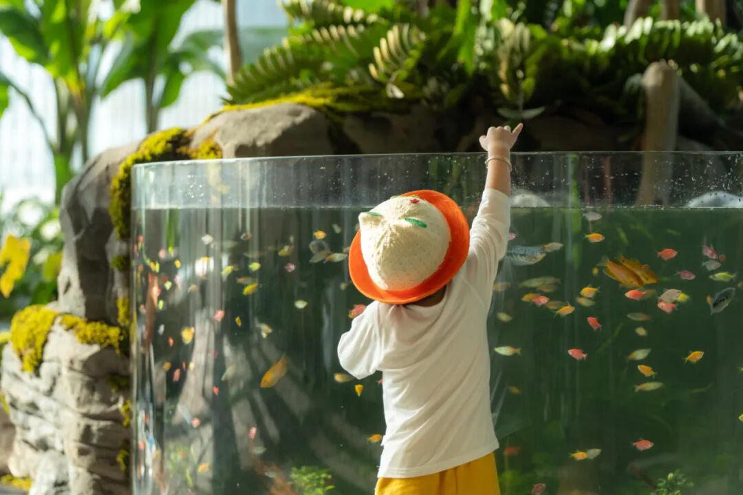 重庆光环花园城·世界树 光环2.0之机械魔法森林丨中国重庆丨WTD纬图设计-25