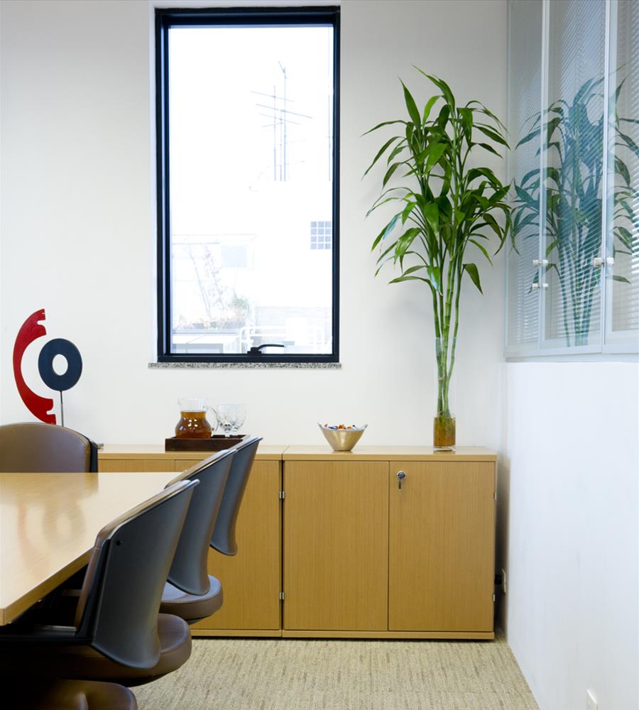 巴西 SP 塔 2000 项目-6