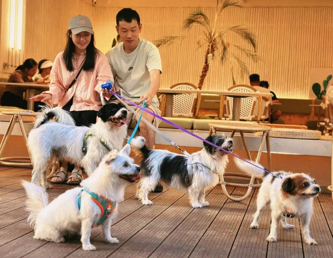 大运北国际化文创街区启动区(龙城工业园)项目丨中国深圳丨深圳市库博建筑设计事务所有限公司,深圳市立方都市工程设计有限公司-140