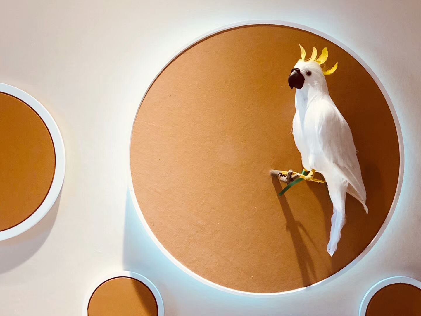 合肥翡翠天际166户型样板间丨中国合肥-40