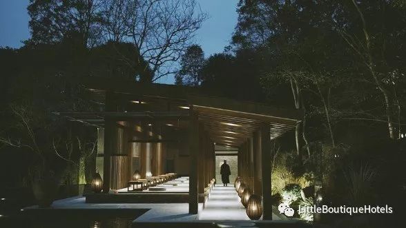 青城山坐忘森林酒店 | 一步一禅,一宿一悟的禅意度假胜地-10