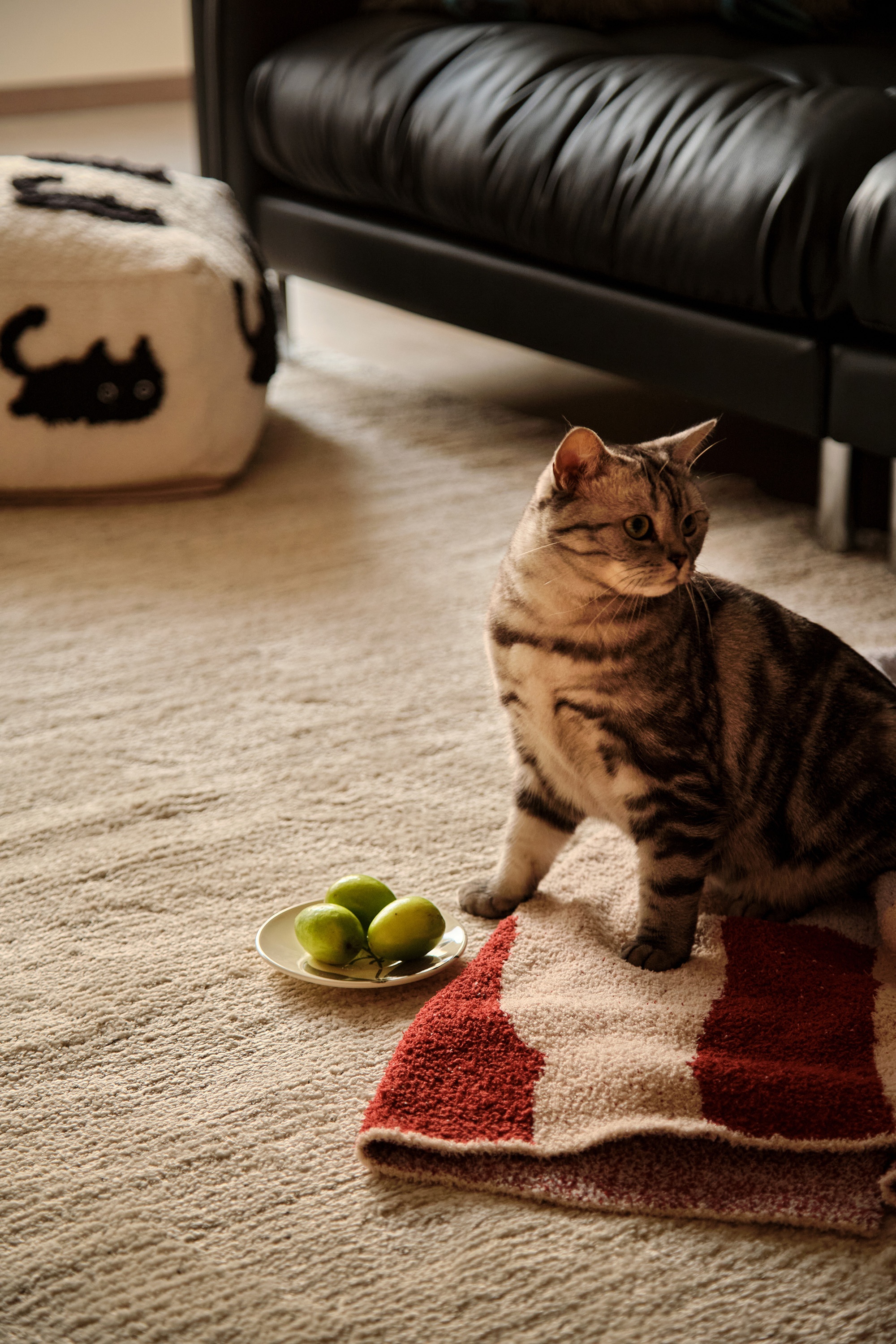 焕境丨中国南京丨壹石设计-11