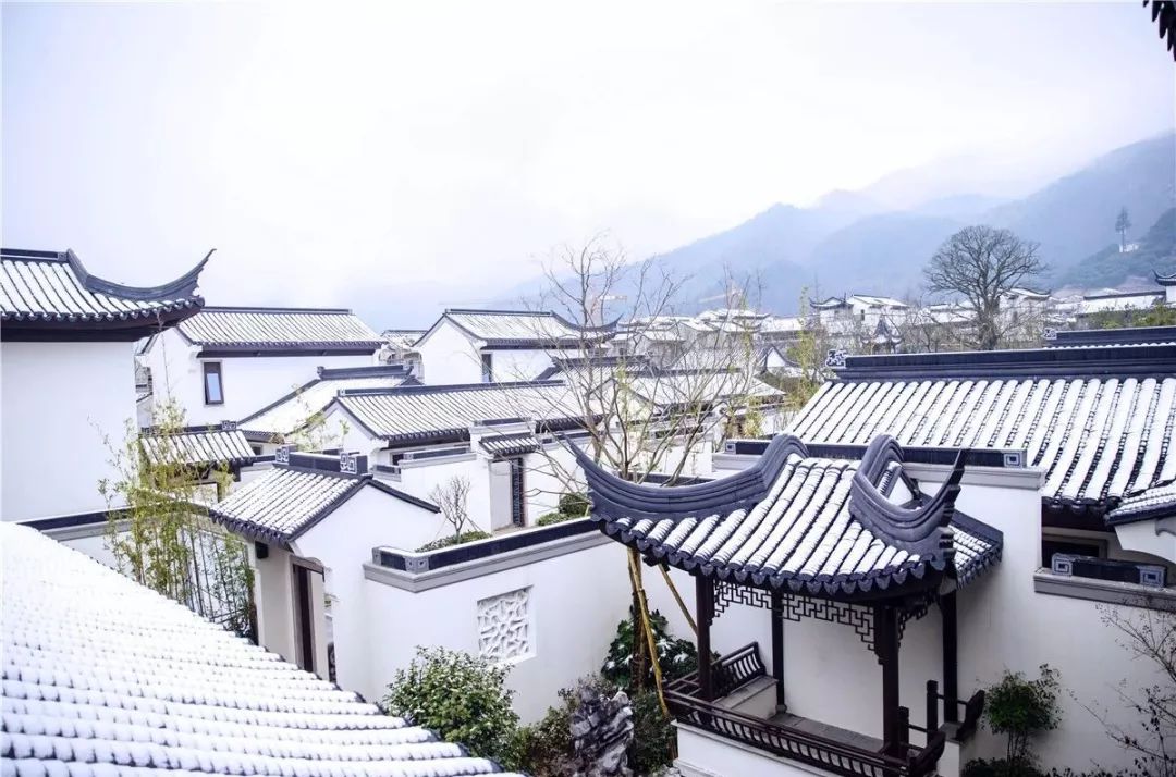 中森寻美郑州行,论赋设计/生活/美学 | 戴鑫的创意之作-44