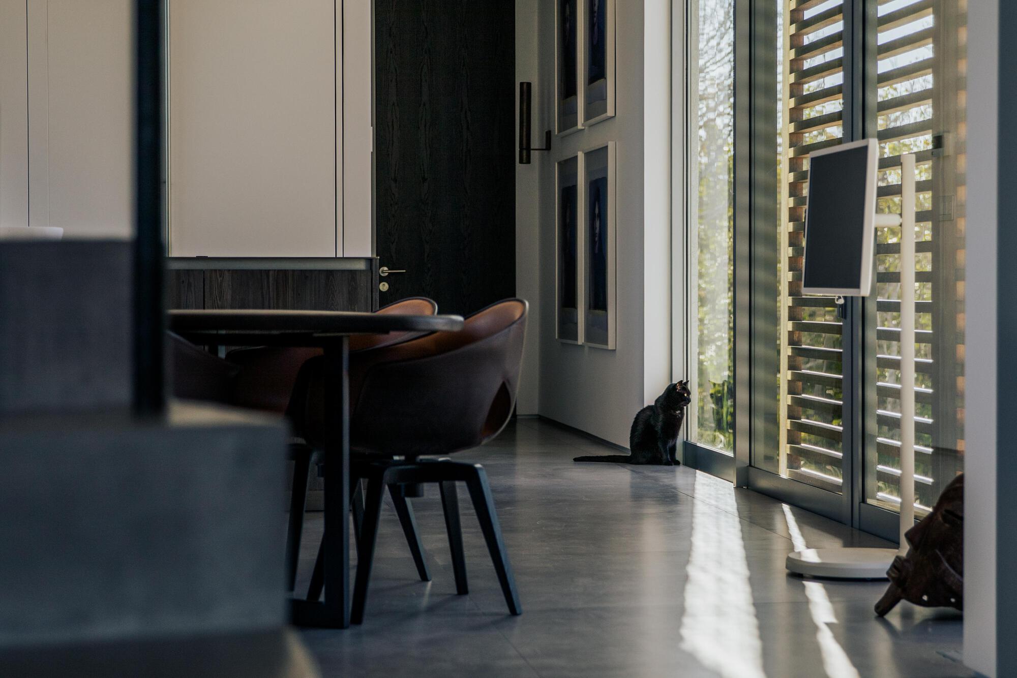 范德弗卢赫特住宅丨美国-34