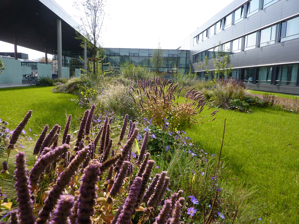 奥地利 Klagenfurt 医院“Arboretum Klinikum”庭园设计-28