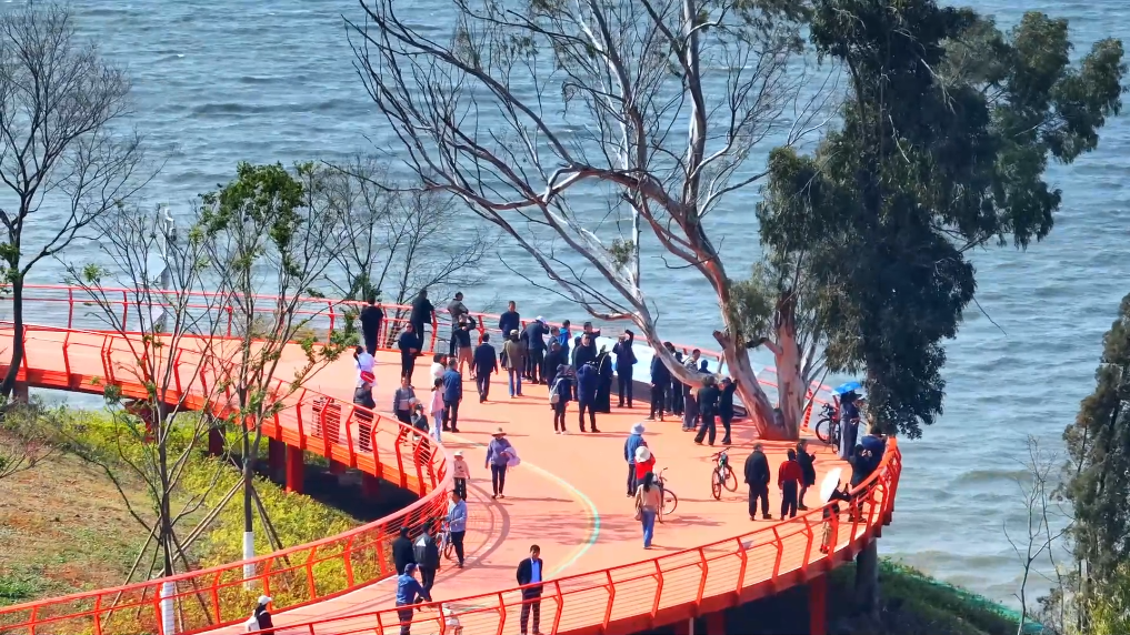 【中规作品】春城新画卷——滇池绿道之春日请柬-28