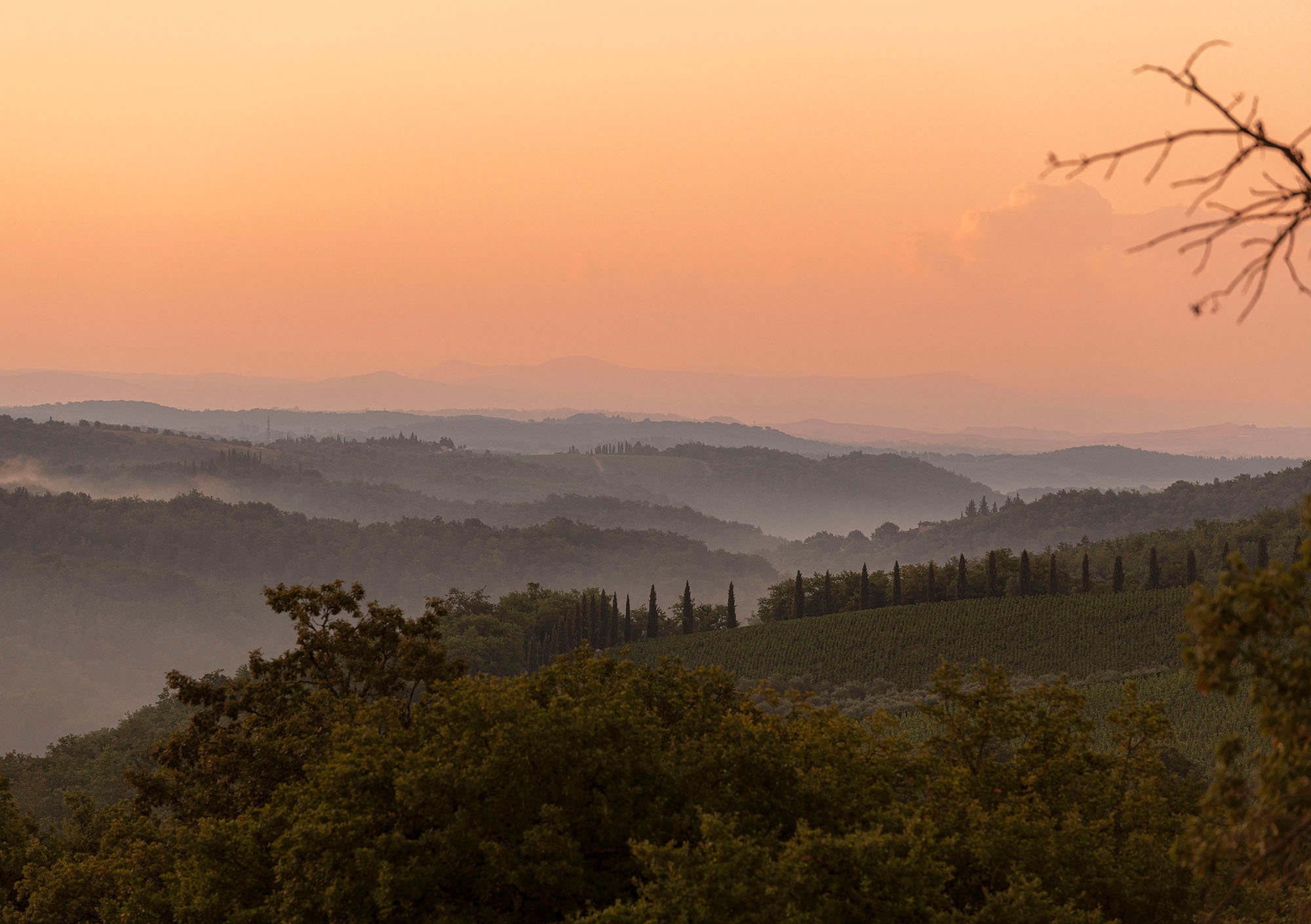 Casa Morelli住宅丨Holzrausch-51