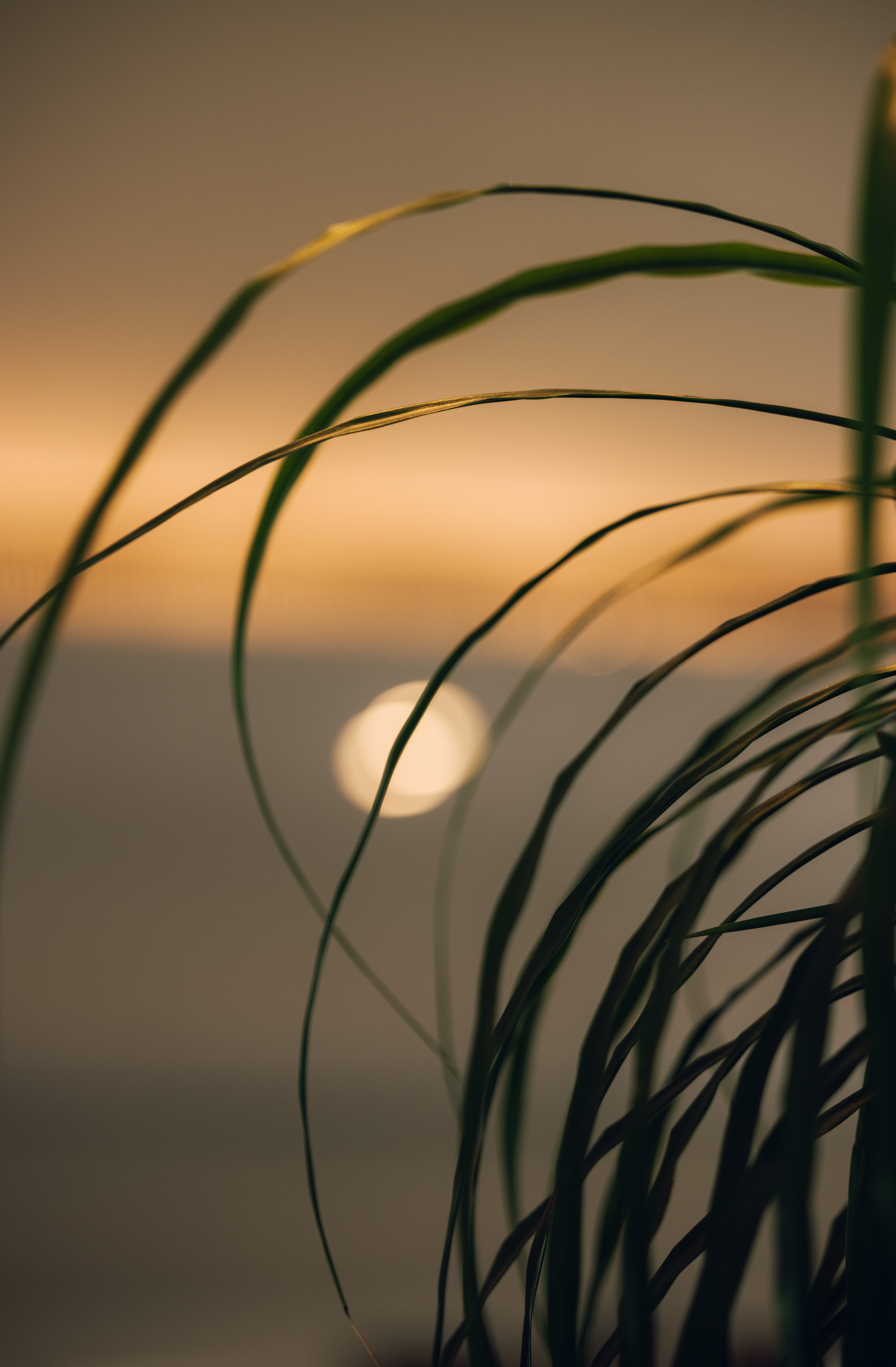 一平方米的静心-12