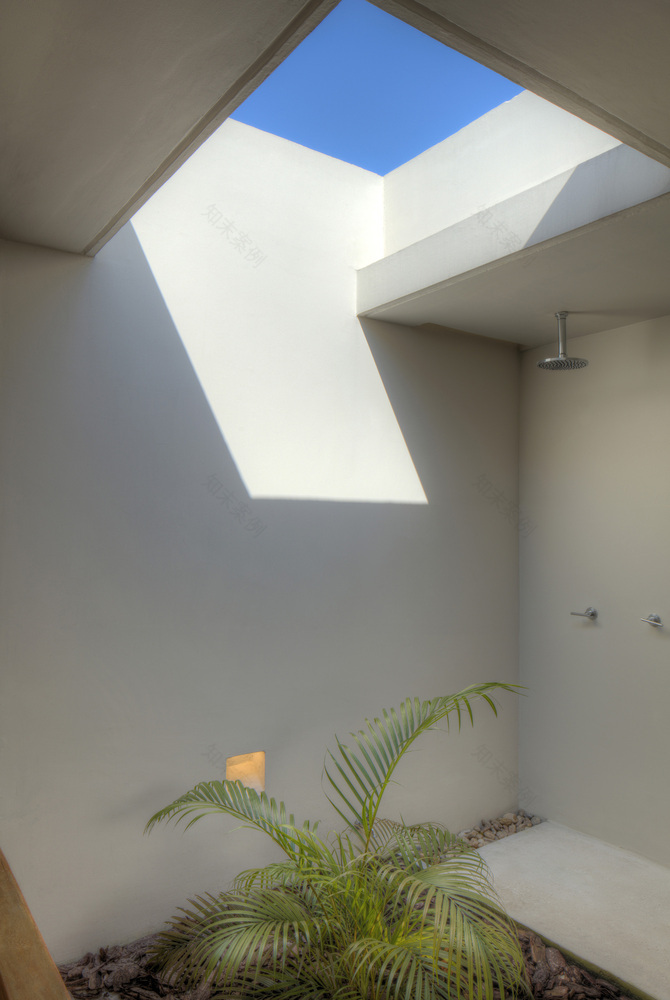 亚马逊绿意中的"Manaus House"-65