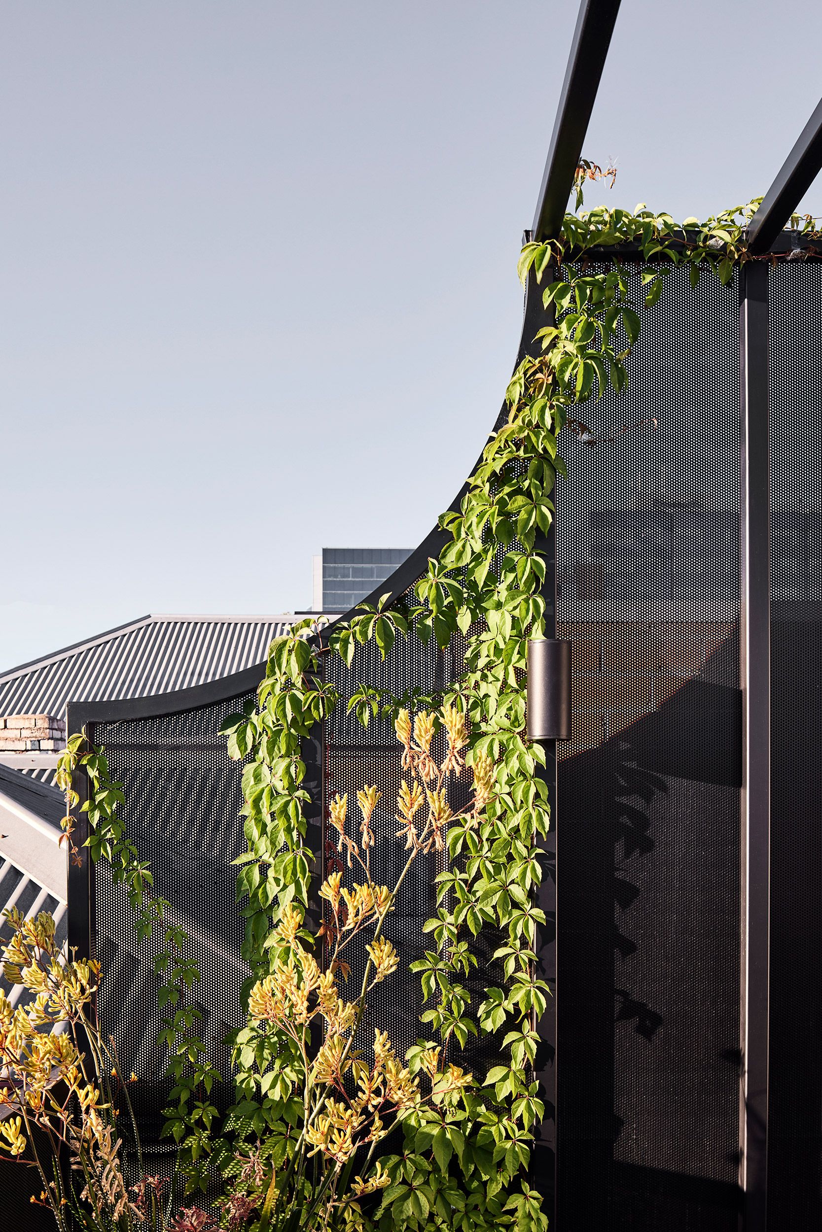 Casa Victoria by Splinter Society Architecture-2