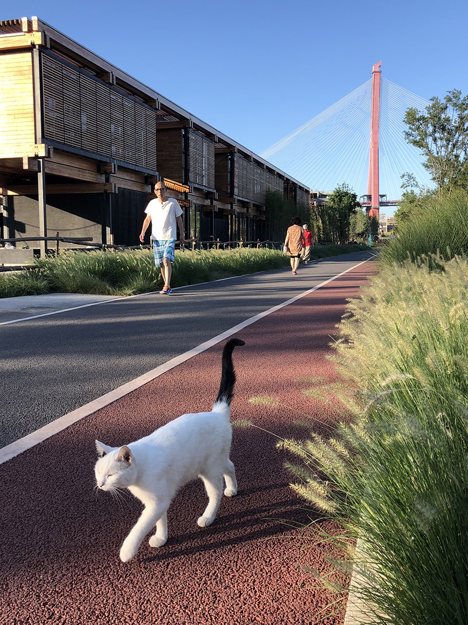 杨浦滨江公共空间二期设计-39