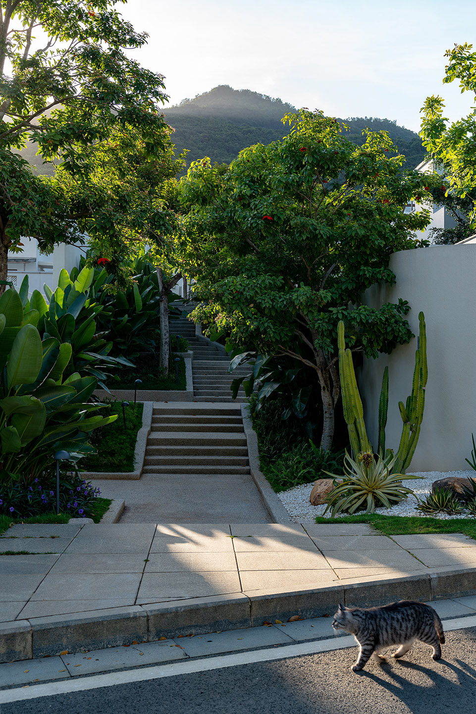 阿那亚三亚南花园丨中国三亚丨Z’scape致舍景观-301