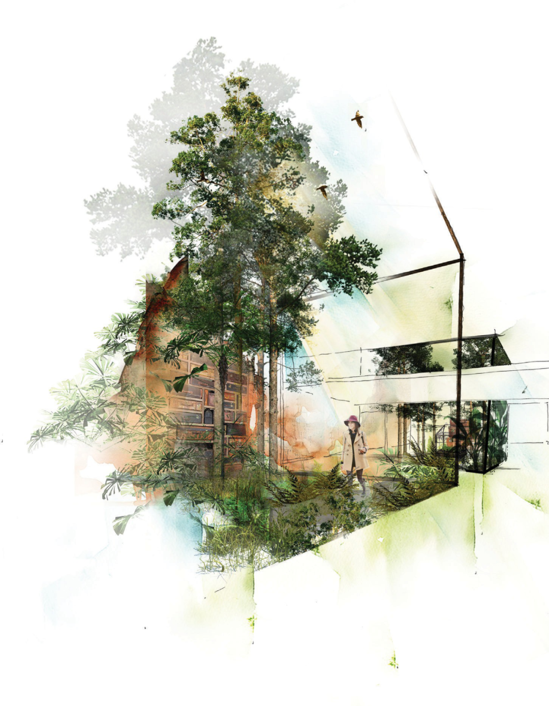 伦敦顶级花园豪宅 Wardian | 几何大胆线条与翠绿自然的完美融合-22