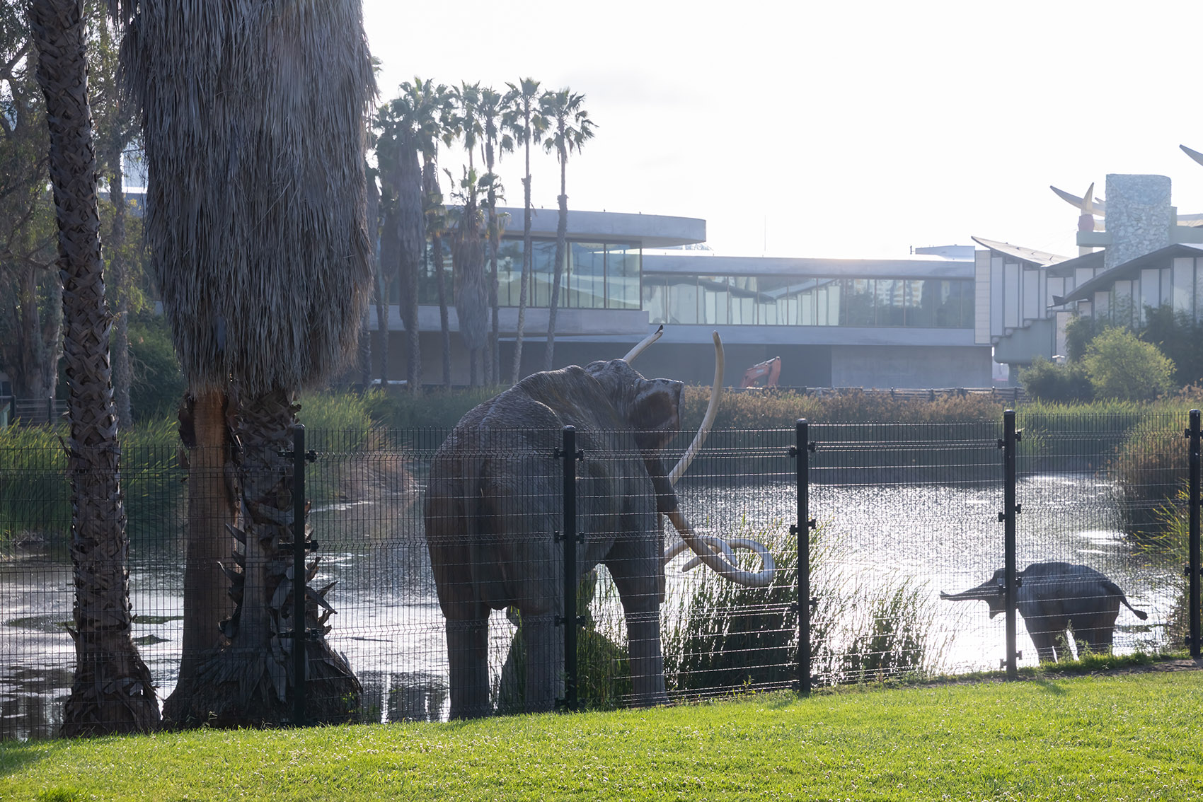 洛杉矶县艺术博物馆David Geffen画廊丨美国洛杉矶-8
