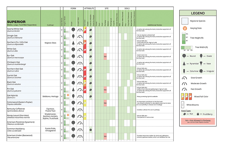 A Canopy Where it Counts | Landscape Architecture Magazine-49