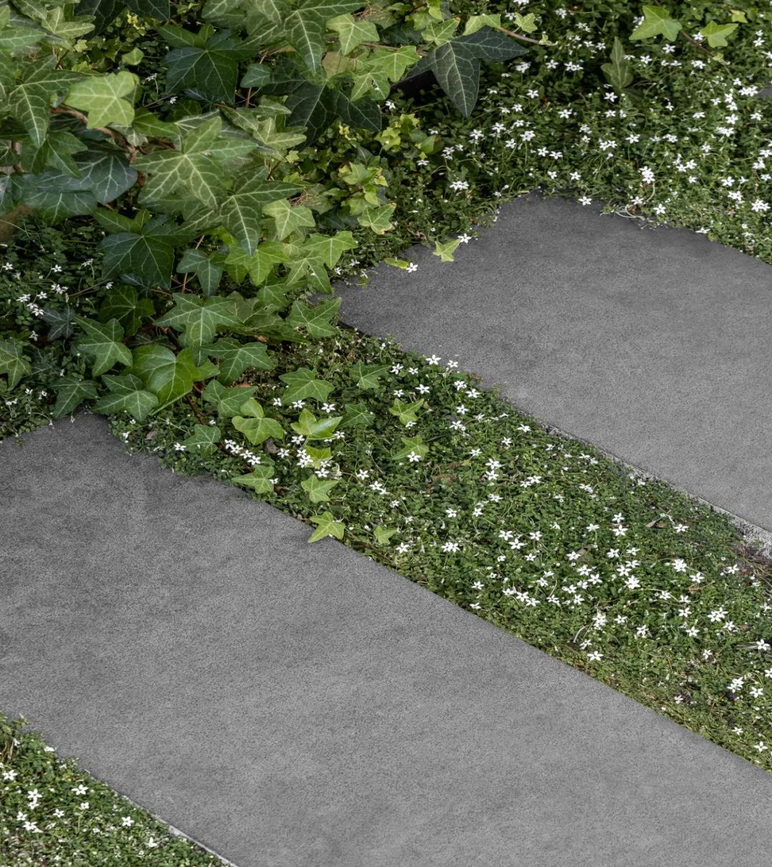 光与开放 · 艾玛·塞尔泽的极简之家丨澳大利亚墨尔本丨Selzer 设计工作室-32